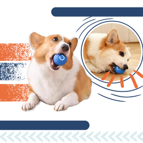 Interactive Dog Toy Durable Ball Engaging Playtime Fun