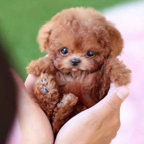Brinquedo Interativo para Cães Filhote Robótico Companheiro Realista