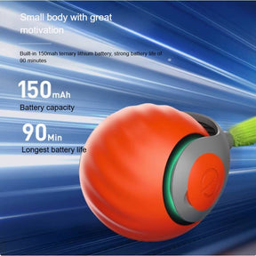 Interactive Cat Toys For Indoor Cats