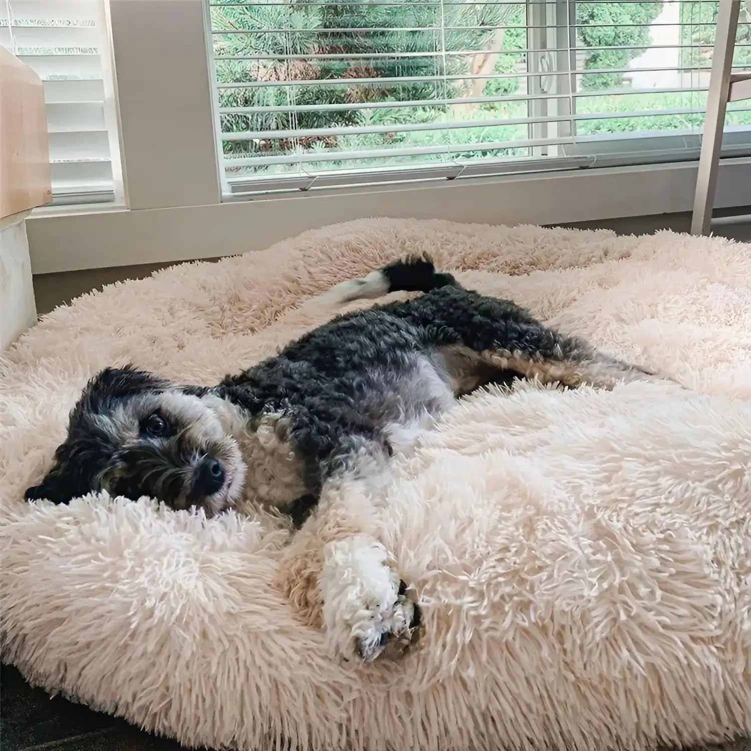 Cama para Cachorro de Porte Grande Design Confortável e Aconchegante
