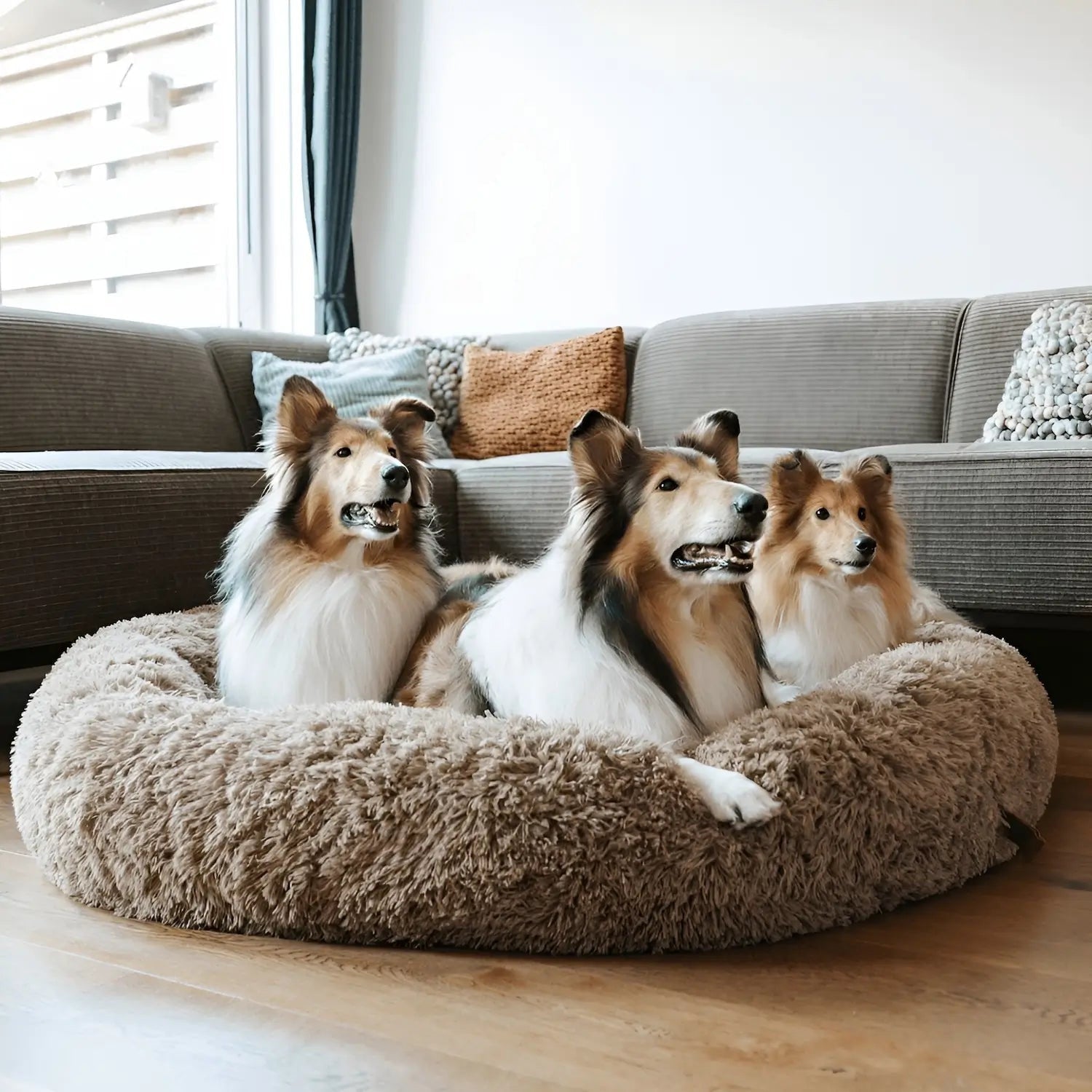 Cama para Cachorro de Porte Grande Design Confortável e Aconchegante