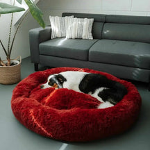 Cama para Cachorro de Porte Grande Design Confortável e Aconchegante