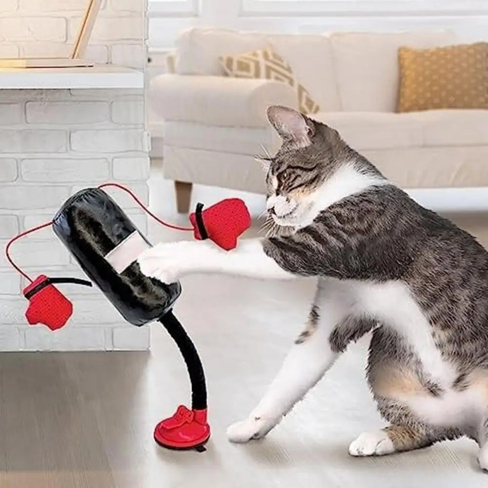 Brinquedos para Gatos