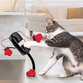 Brinquedos para Gatos