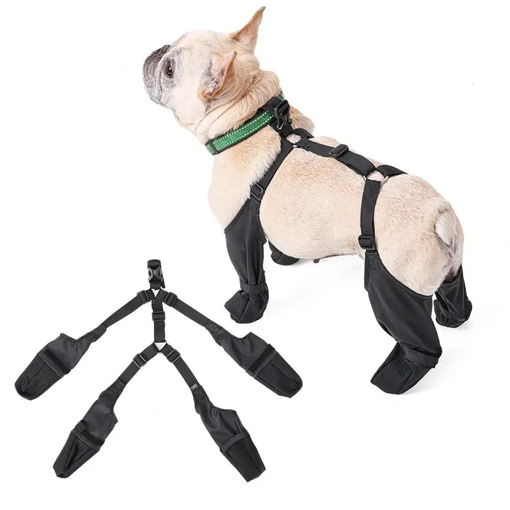 Botas Ajustáveis para Cães