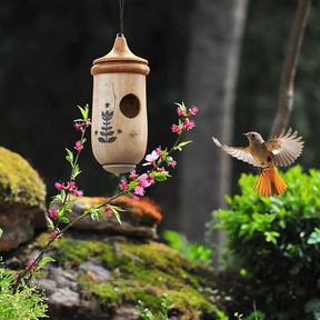Casa de Madeira para Beija-flores - Presente para Amantes da Natureza