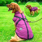Jaqueta de Inverno Impermeável para Cães - Forrada com Lã Sherpa - Peitoral Integrado