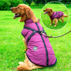 Jaqueta de Inverno Impermeável para Cães - Forrada com Lã Sherpa - Peitoral Integrado