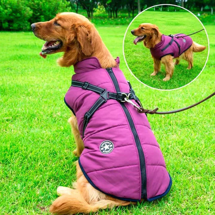 Jaqueta de Inverno Impermeável para Cães - Forrada com Lã Sherpa - Peitoral Integrado