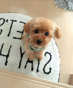 Realistic Teddy Dog Lucky | Plush Puppy