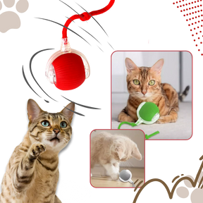Smart Interactive Cats Ball Toy