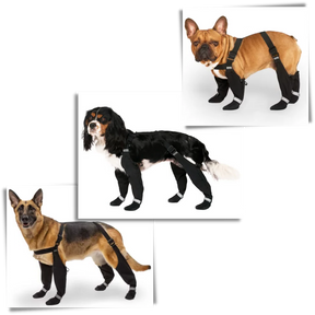 Waterproof Dog Suspenders Boots