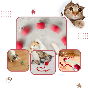 Smart Interactive Cats Ball Toy