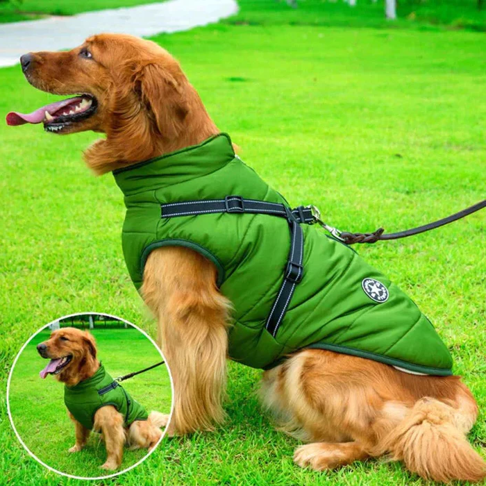Jaqueta de Inverno Impermeável para Cães - Forrada com Lã Sherpa - Peitoral Integrado