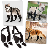 Waterproof Dog Suspenders Boots