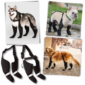 Waterproof Dog Suspenders Boots