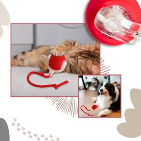 Smart Interactive Cats Ball Toy