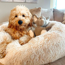Cama Calmante para Cães