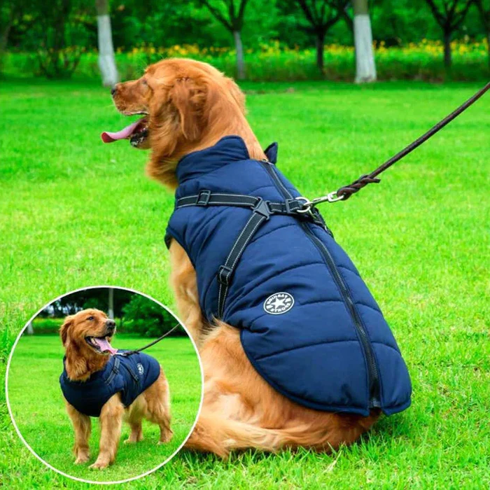 Jaqueta de Inverno Impermeável para Cães - Forrada com Lã Sherpa - Peitoral Integrado