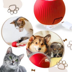 Smart Interactive Cats Ball Toy