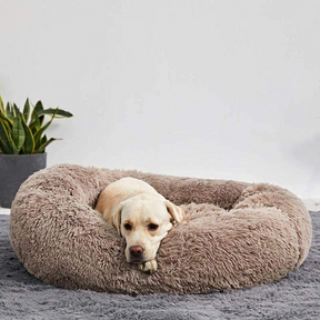 Cama Calmante para Cães