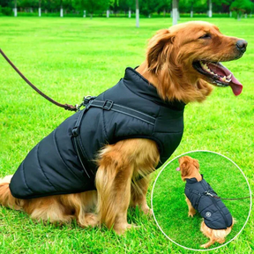 Jaqueta de Inverno Impermeável para Cães - Forrada com Lã Sherpa - Peitoral Integrado
