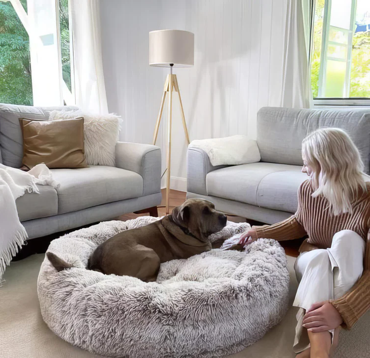 Cama Calmante para Cães