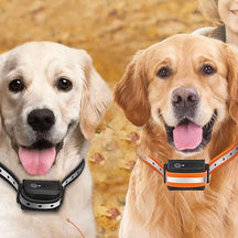 Coleira de Adestramento para Cães com Controle Remoto – Alcance de 1000m, Modo de Vibração e Sinal Sonoro