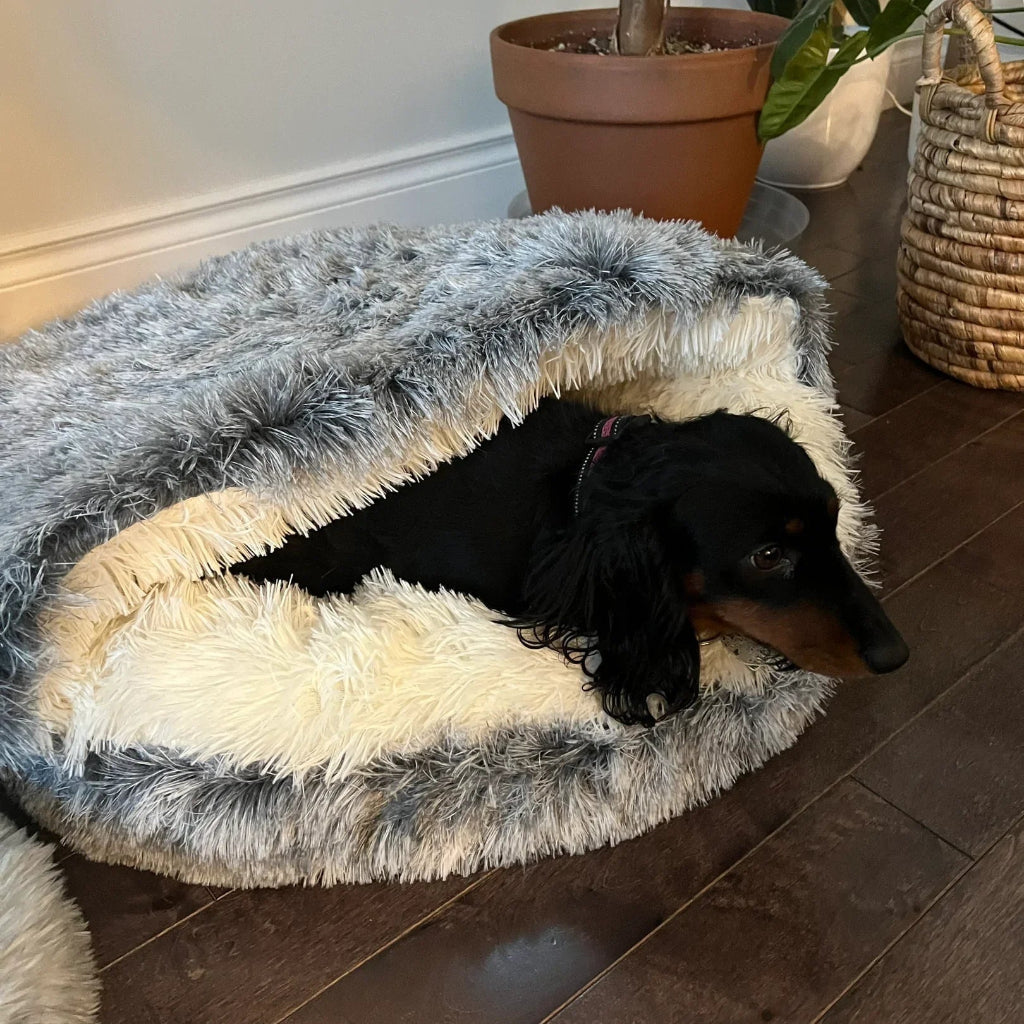 Cama Toca para Pets Design Aconchegante de Toca para Gatos Conforto Macio
