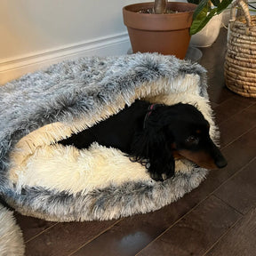 Cama Toca para Pets Design Aconchegante de Toca para Gatos Conforto Macio