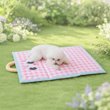 Pet Cooling Mat Dog Cat Breathable Foldable Portable