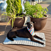 Tapete de Refrigeração Portátil para Cães