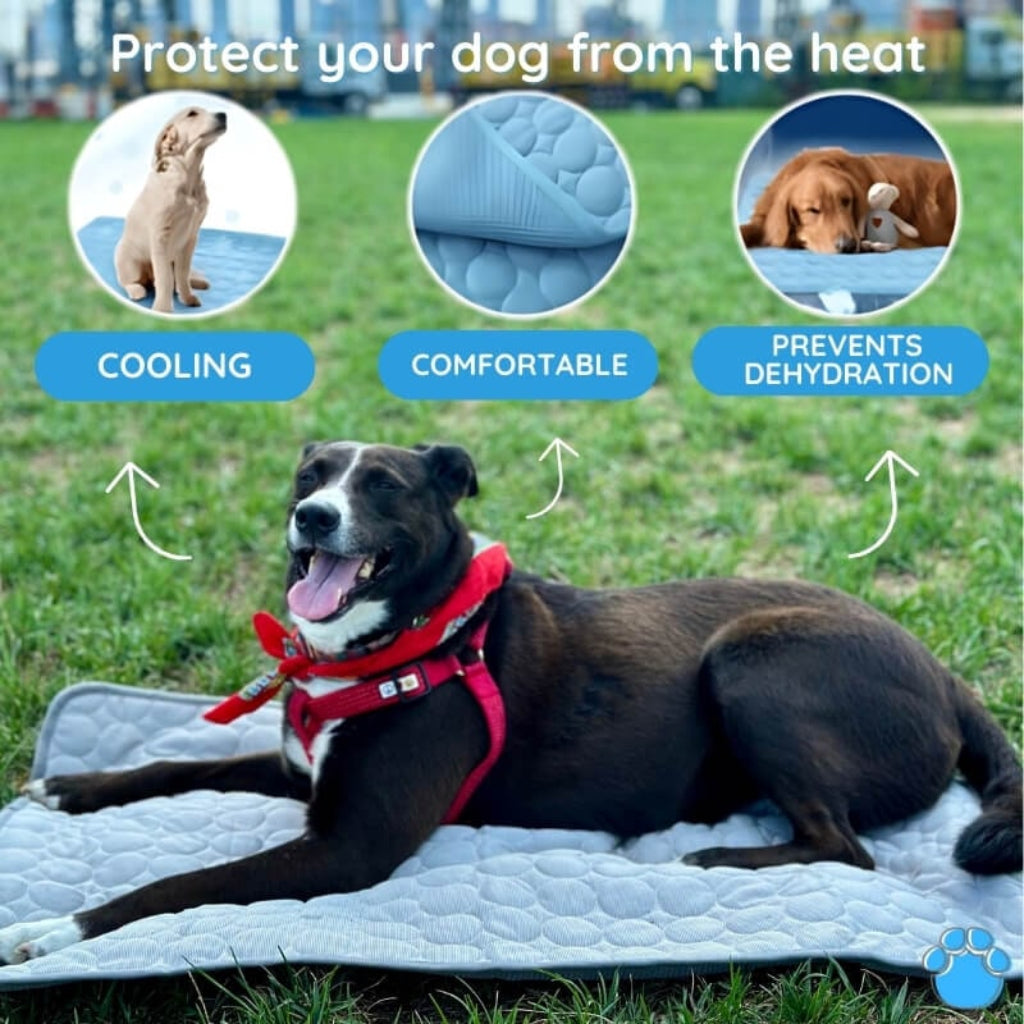 Tapete de Refrigeração Portátil para Cães