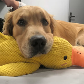 Brinquedo Calmante para Cães com Som de Grasnido para Morder e Brincar
