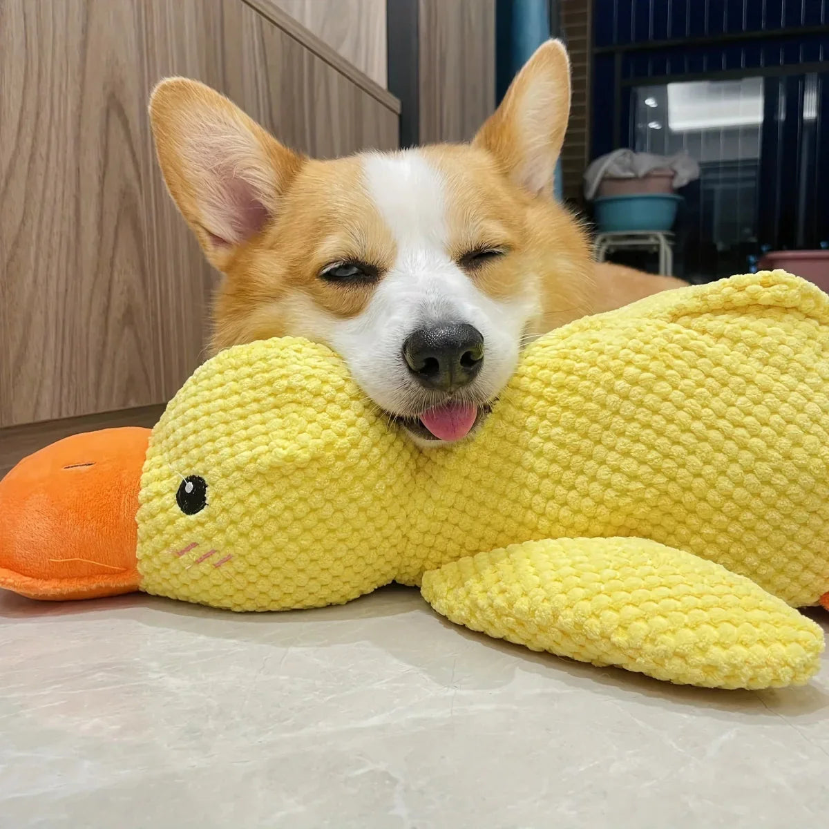 Brinquedo Calmante para Cães com Som de Grasnido para Morder e Brincar