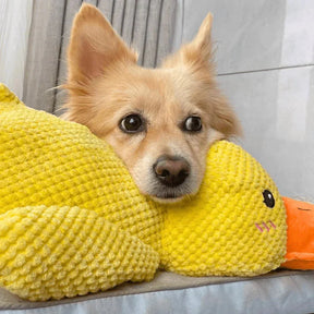 Brinquedo Calmante para Cães com Som de Grasnido para Morder e Brincar
