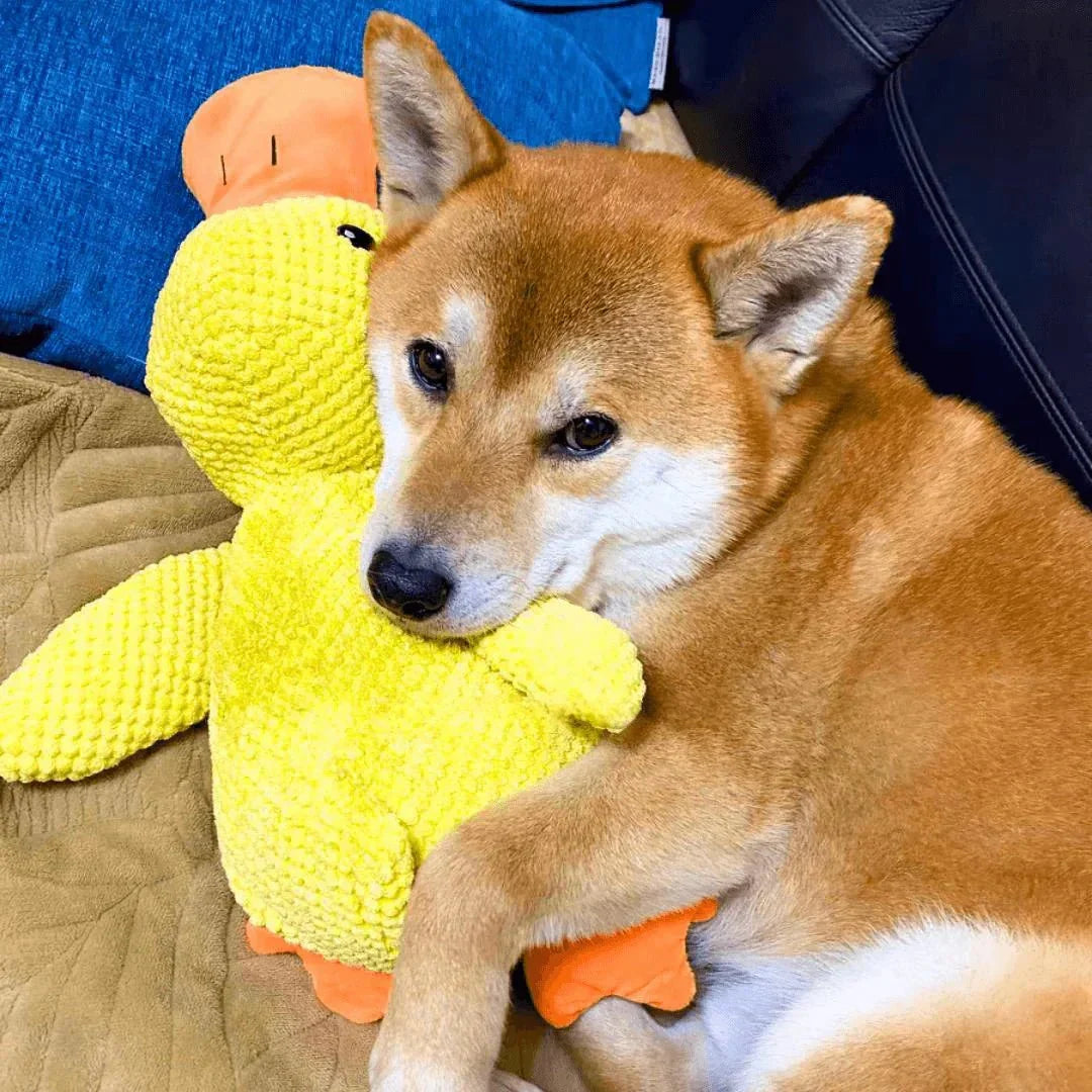Brinquedo Calmante para Cães com Som de Grasnido para Morder e Brincar