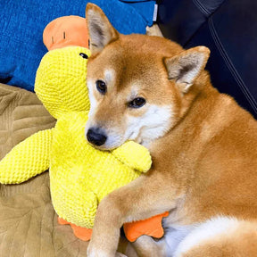 Brinquedo Calmante para Cães com Som de Grasnido para Morder e Brincar