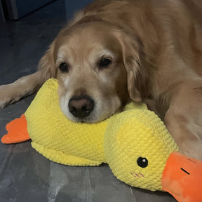 Brinquedo Calmante para Cães com Som de Grasnido para Morder e Brincar