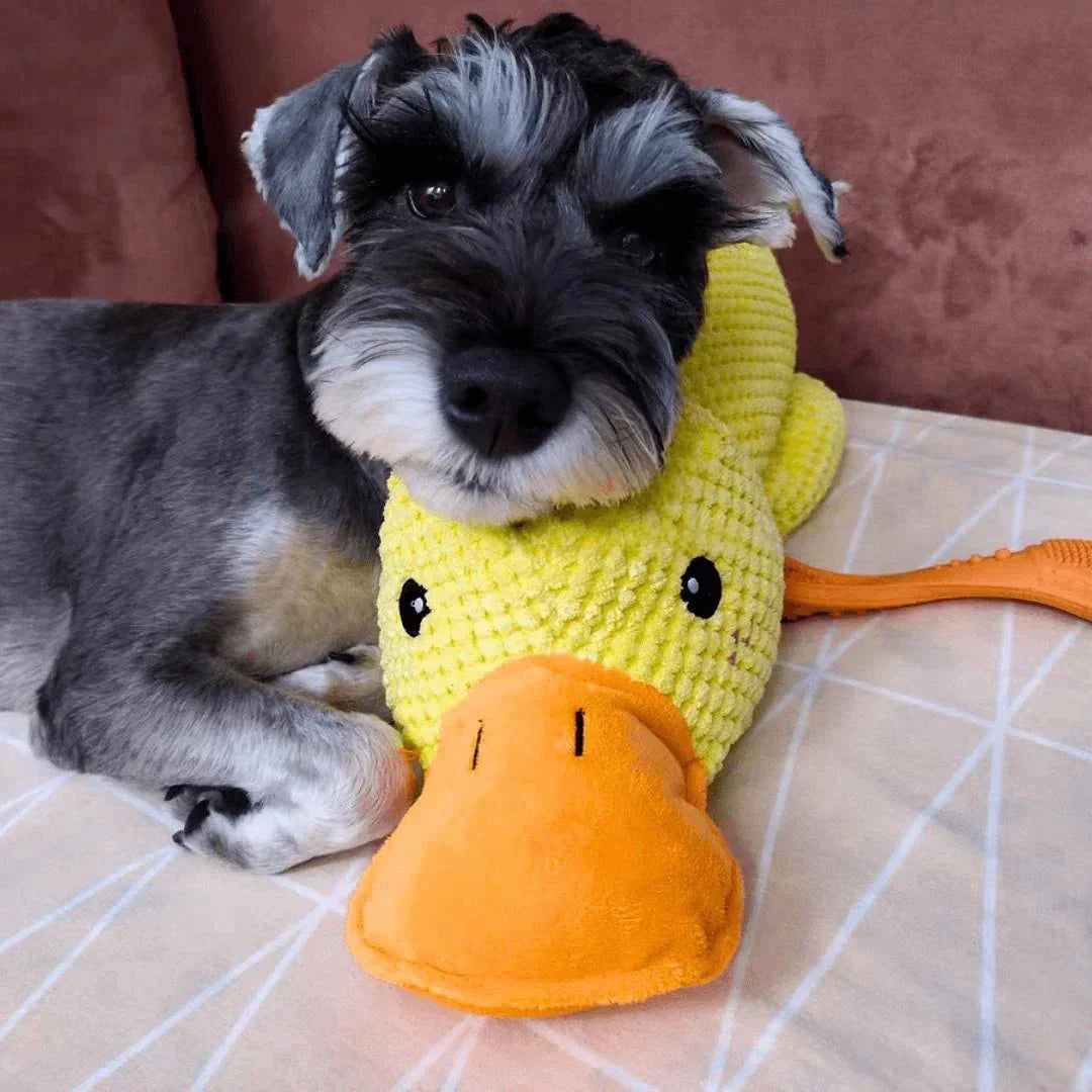 Brinquedo Calmante para Cães com Som de Grasnido para Morder e Brincar