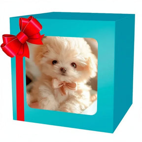 Cachorrinho Robô Brinquedo de Robô Companheiro de Brincadeira Interativo