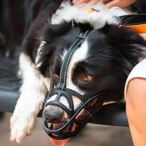 Focinheira para Cães – SafeBark Anti-Latido Ajustável, em Malha e Conforto Respirável