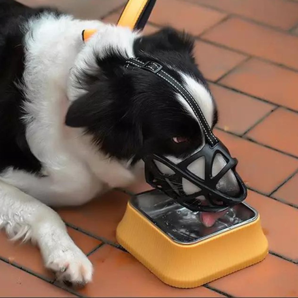 Focinheira para Cães – SafeBark Anti-Latido Ajustável, em Malha e Conforto Respirável