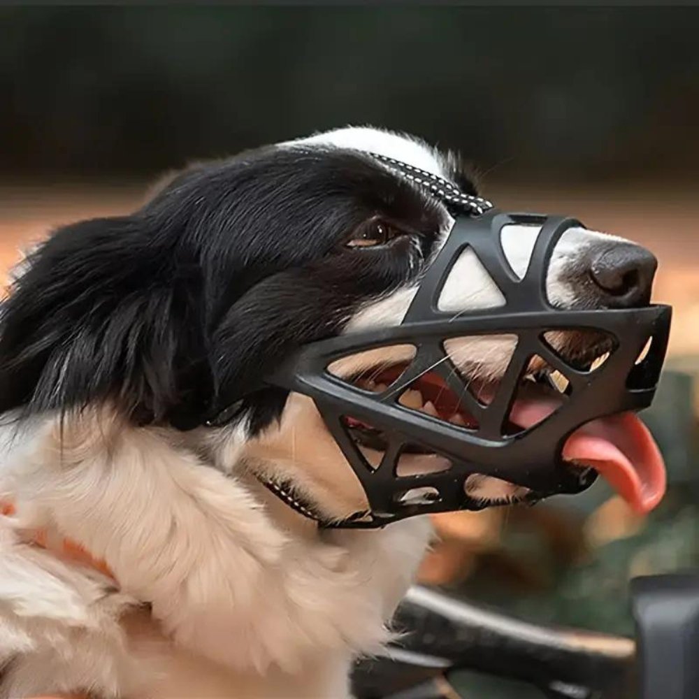 Focinheira para Cães – SafeBark Anti-Latido Ajustável, em Malha e Conforto Respirável