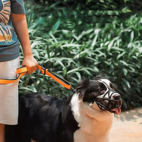 Focinheira para Cães – SafeBark Anti-Latido Ajustável, em Malha e Conforto Respirável