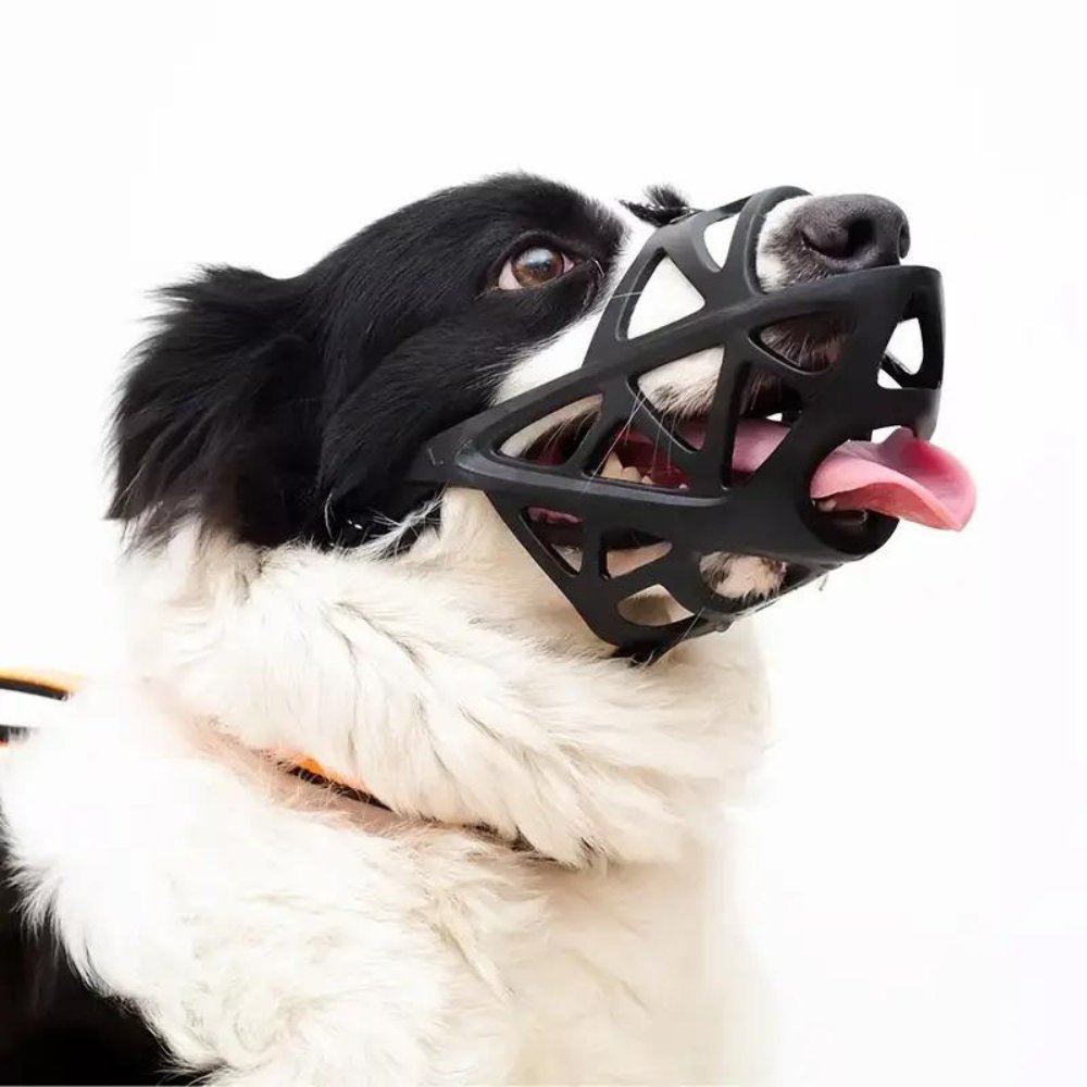 Focinheira para Cães – SafeBark Anti-Latido Ajustável, em Malha e Conforto Respirável