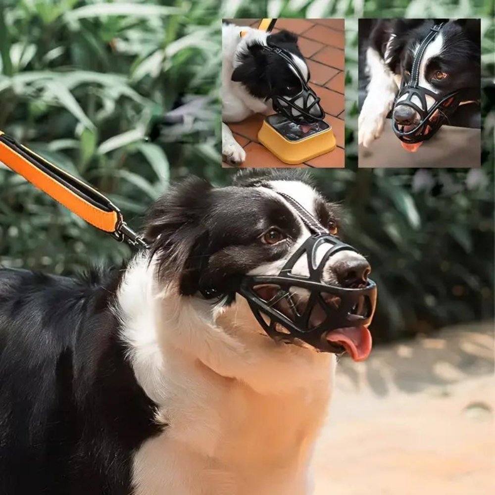 Focinheira para Cães – SafeBark Anti-Latido Ajustável, em Malha e Conforto Respirável