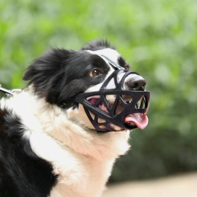 Focinheira para Cães – SafeBark Anti-Latido Ajustável, em Malha e Conforto Respirável