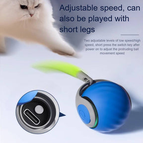Interactive Cat Toys For Indoor Cats