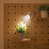Wall Sconce Battery Operated Modern Adjustable LED Spotlight